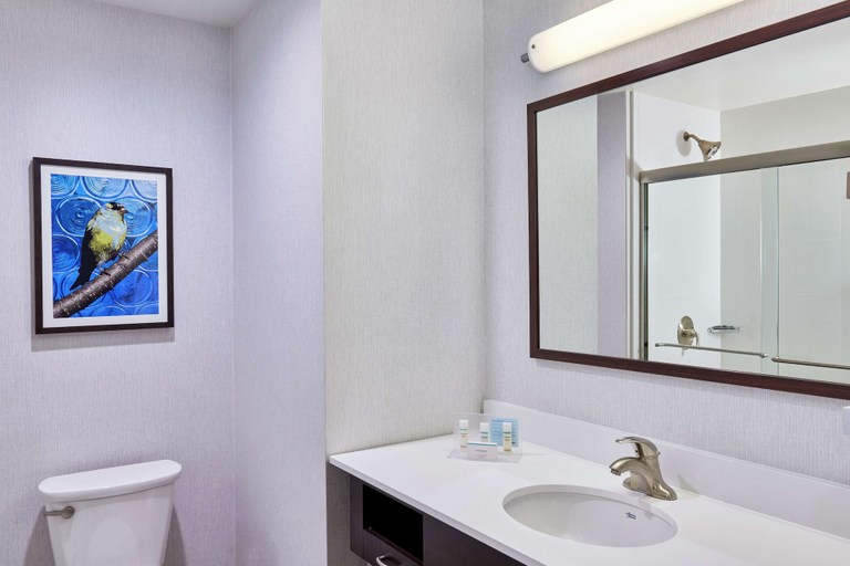 Bathroom 4, Hampton Inn & Suites Teaneck Glenpointe, Bergen