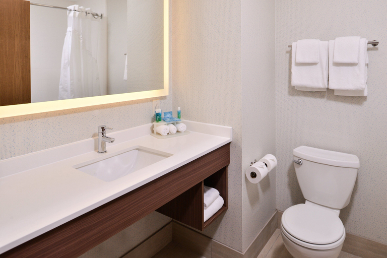 Bathroom 5, Holiday Inn Express & Suites LACEY - OLYMPIA by IHG, Thurston