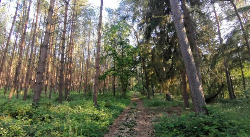Doppelhaushalfte Ostwind vom Naturhof Usedom, Vorpommern-Greifswald