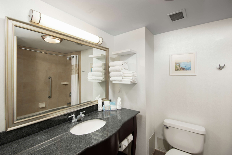 Bathroom 4, Hampton Inn & Suites Barrie, Simcoe