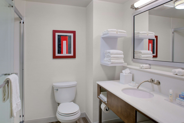 Bathroom 5, Hampton Inn & Suites Columbus Scioto Downs, Franklin
