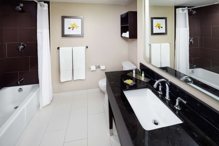 Bathroom 5, DoubleTree by Hilton Manchester Downtown, Hillsborough