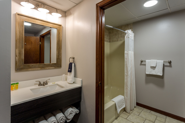 Bathroom 4, Forrest Hills Mountain Resort, Lumpkin