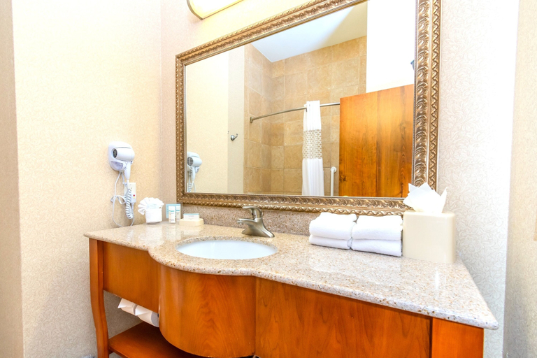 Bathroom 4, Hampton Inn and Suites College Station, Brazos