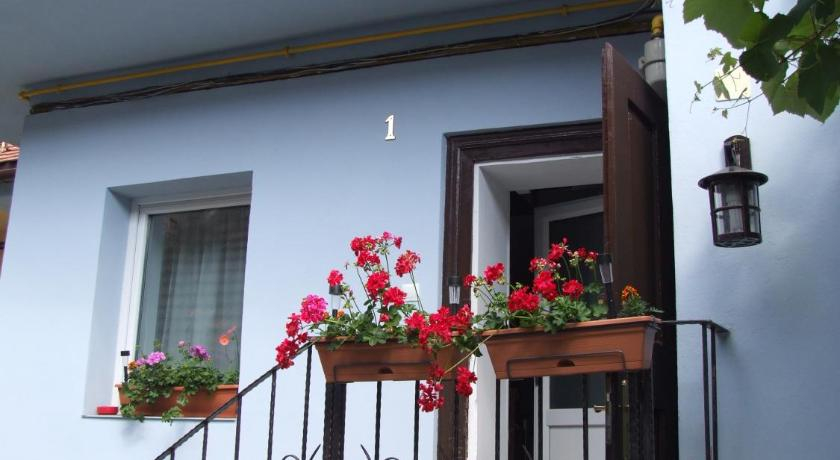 Blue House, Brasov