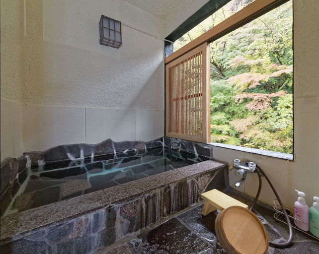 Bathroom 4, Ichinoyu Honkan, Hakone