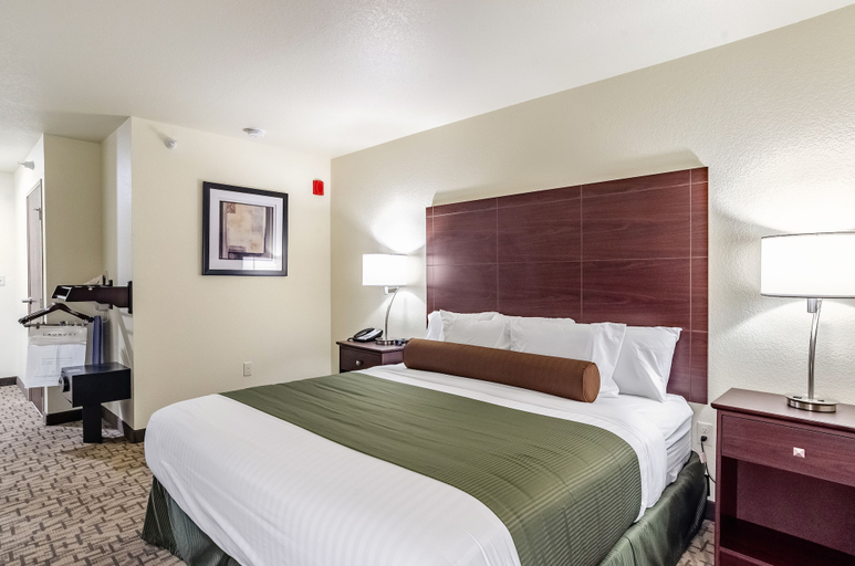 Bedroom 4, Cobblestone Hotel & Suites - Hutchinson, McLeod