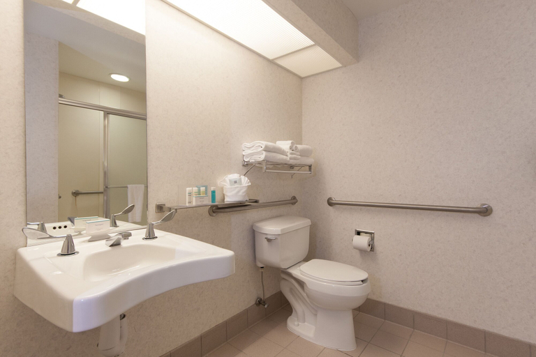 Bathroom 4, Hampton Inn Buffalo South/I-90, Erie