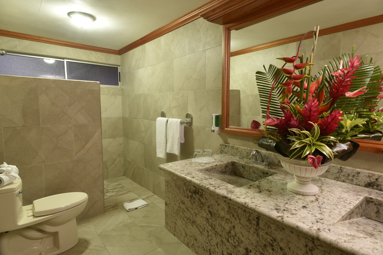 Bathroom 4, Hotel Los Lagos Spa & Resort, San Carlos