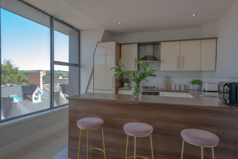 Others 5, Super cute rooftop Apartment. Beautiful city views, Belfast