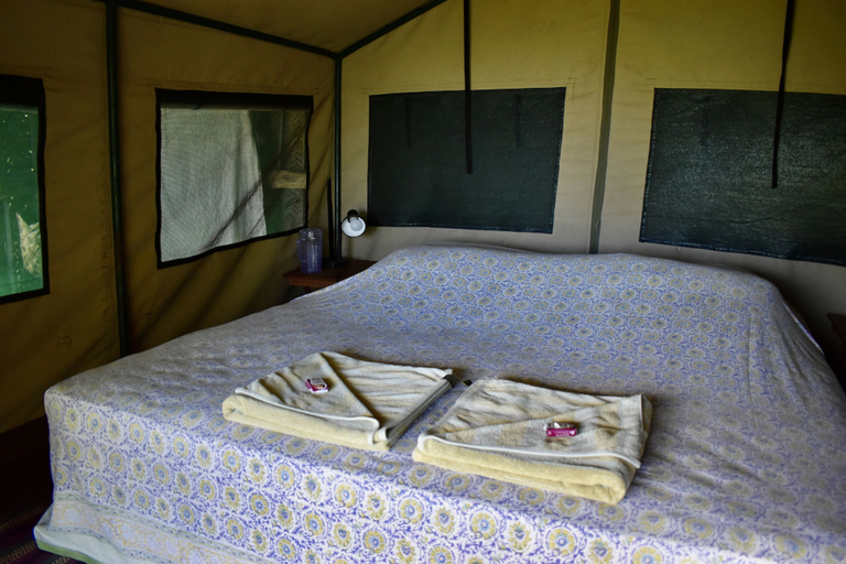 Bedroom 3, Kitu Kiblu, Mafia