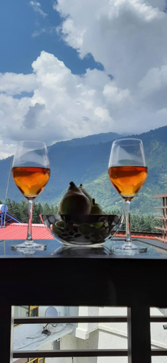 Food & Drinks 5, Mastiff Xanadu Manali, Kullu