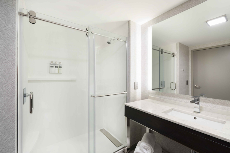 Bathroom 4, Residence Inn by Marriott Boston Natick, Middlesex