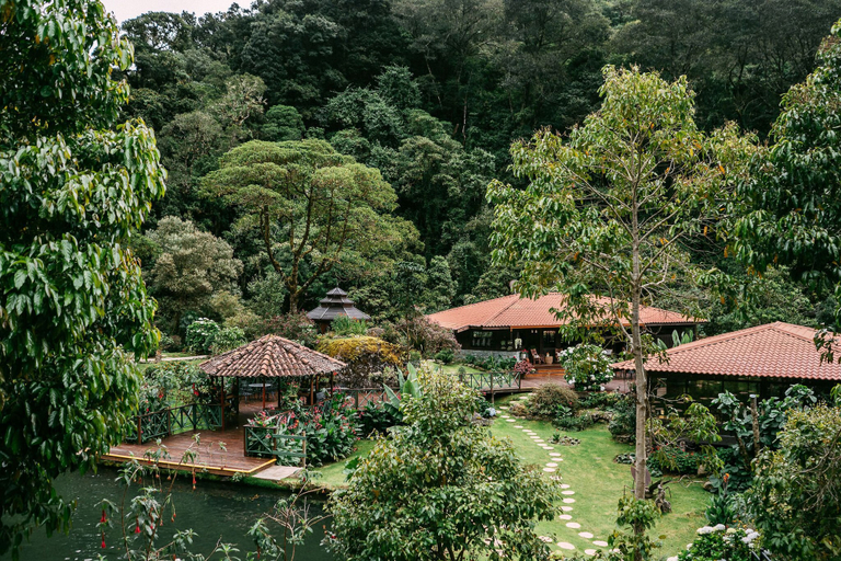 Others 5, Trogon Lodge , Pérez Zeledón