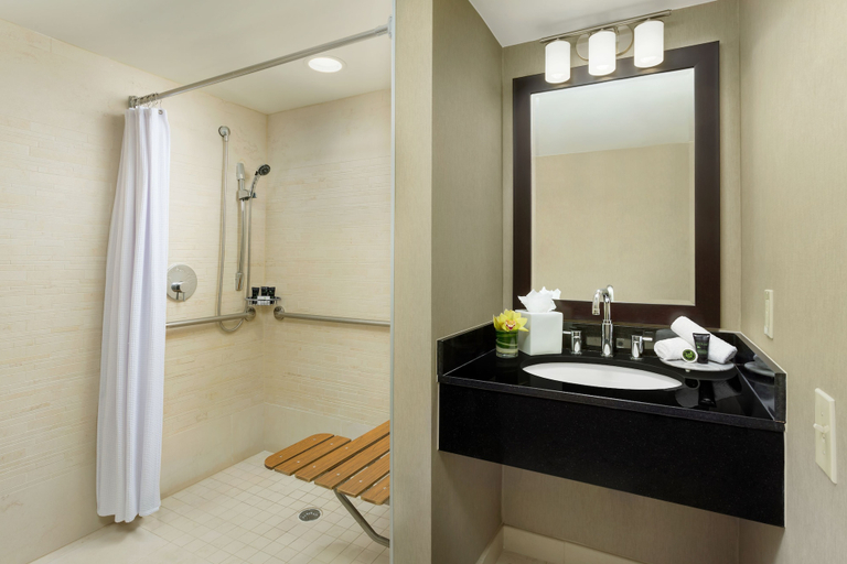 Bathroom 4, Hyatt Centric Arlington, Arlington