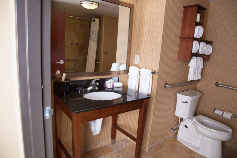 Bathroom 4, Hampton Inn & Suites Dickinson, Stark
