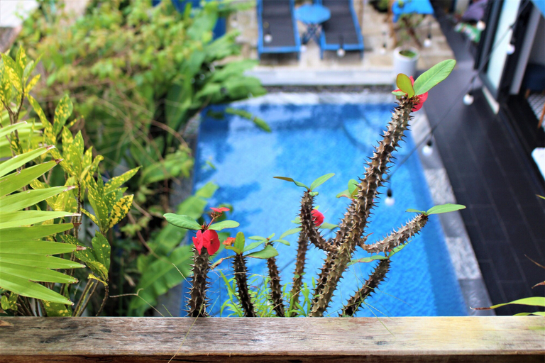 Exterior & Views 5, An Bang MQ Villa, Da Nang