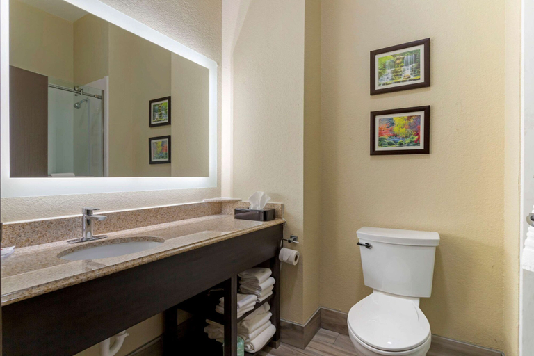 Bathroom 4, Comfort Suites Kingwood Houston North, Houston