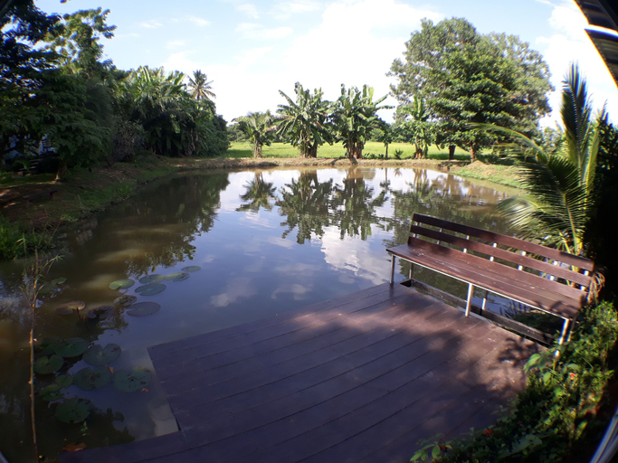 Others 5, Sawansang Nangkeaw Resort, Pak Thong Chai