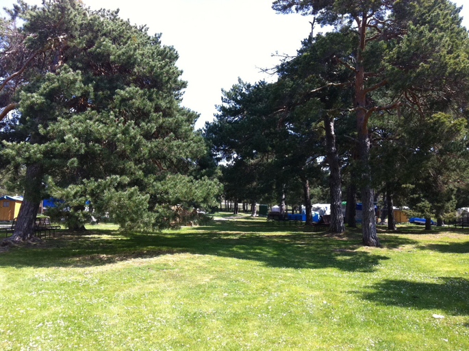 Others 5, Camping El Concurso, Soria