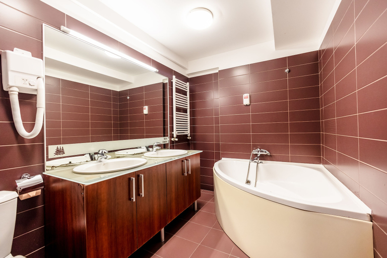 Bathroom 4, Hotel Cindrel, Rasinari