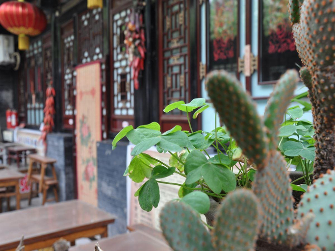 Food & Drinks 3, Pingyao Yufengheng Hotel, Jinzhong