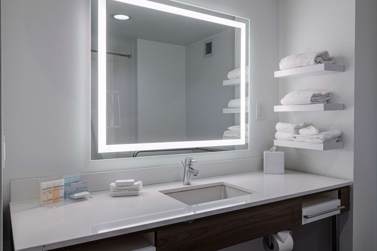 Bathroom 4, Hampton Inn & Suites Knoxville-Downtown, Knox