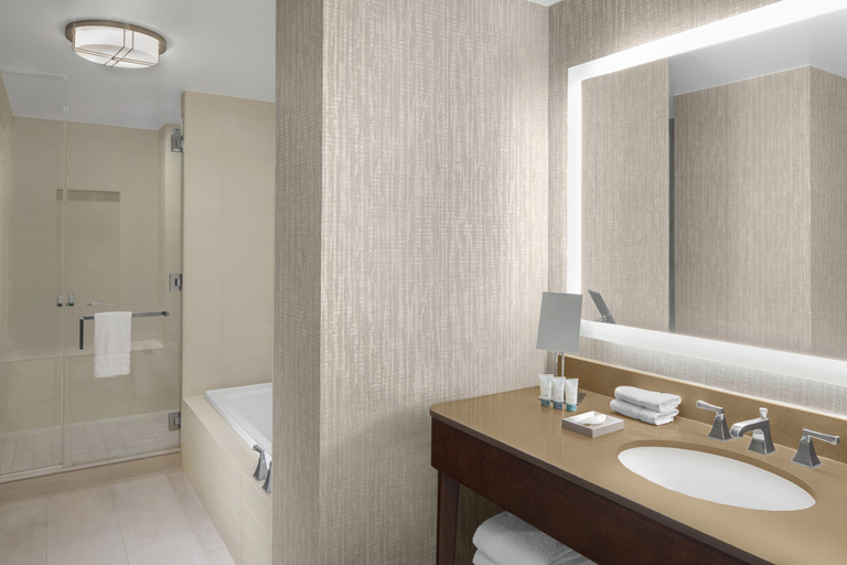 Bathroom 4, The Westin New York Grand Central, New York