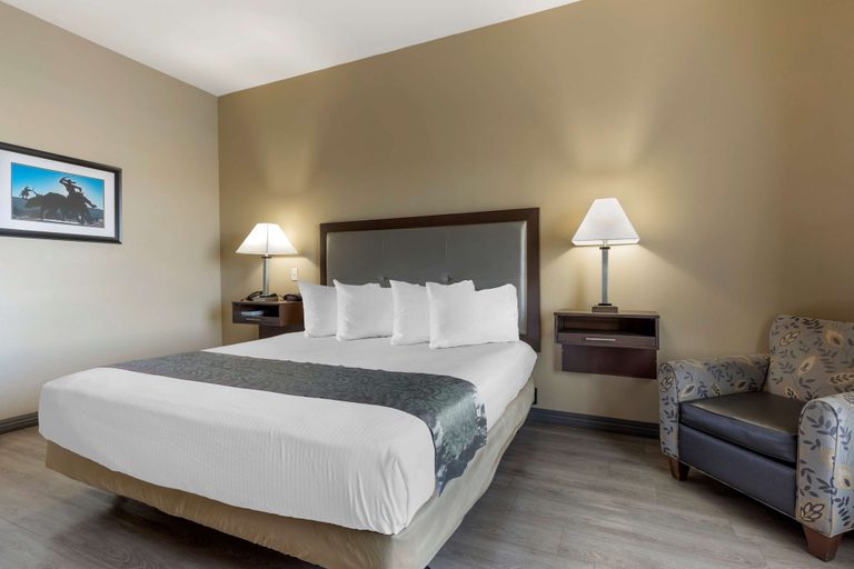 Bedroom 3, Best Western Plus Fort Stockton Hotel, Pecos