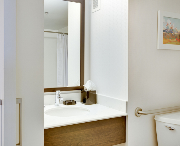 Bathroom 5, Hampton Inn Harrisonburg - University, Harrisonburg