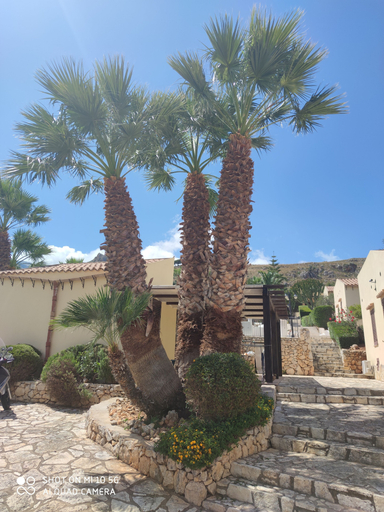 Exterior & Views 2, HOTEL GROTTICELLI, Trapani