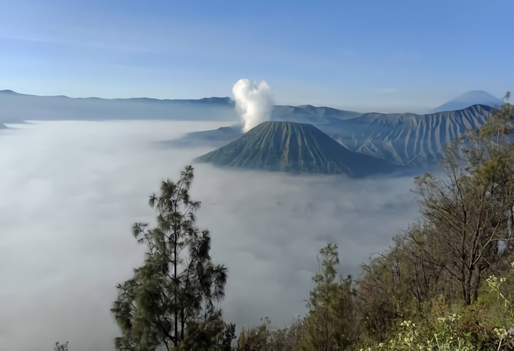 Others 5, Anggun Homestay 1, Probolinggo
