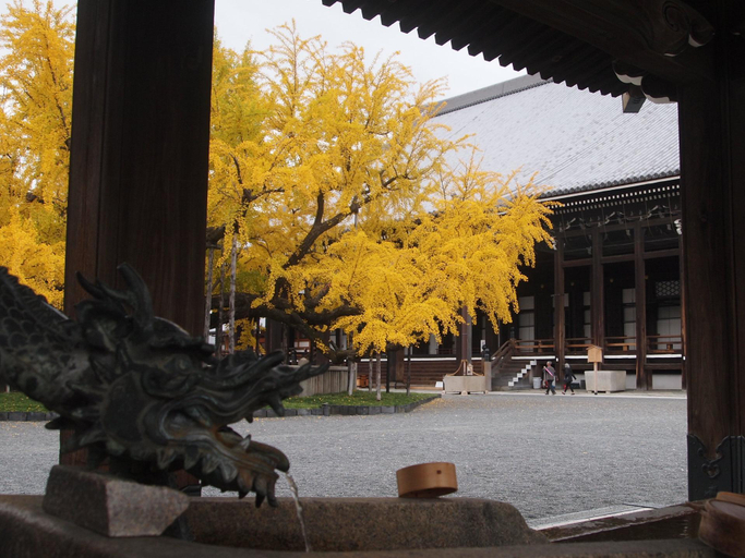 Others 4, Kyo-Akari Inn, Kyoto
