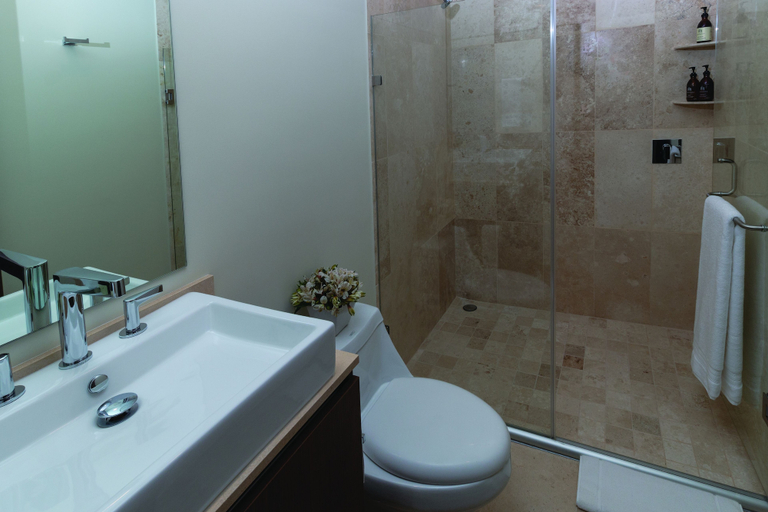 Bathroom, Botticelli Tower By The Local Way, Mexico City