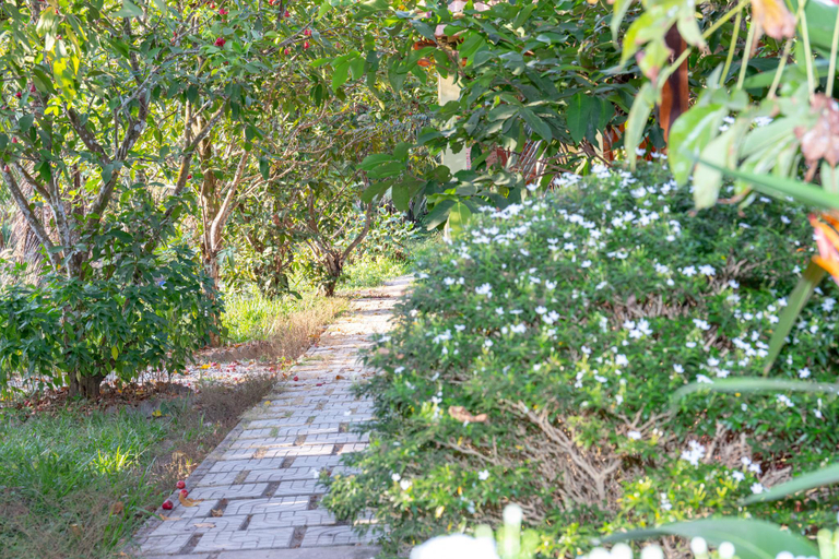 Others 5, Orchard Fruit Farm Bungalows, Phú Quốc