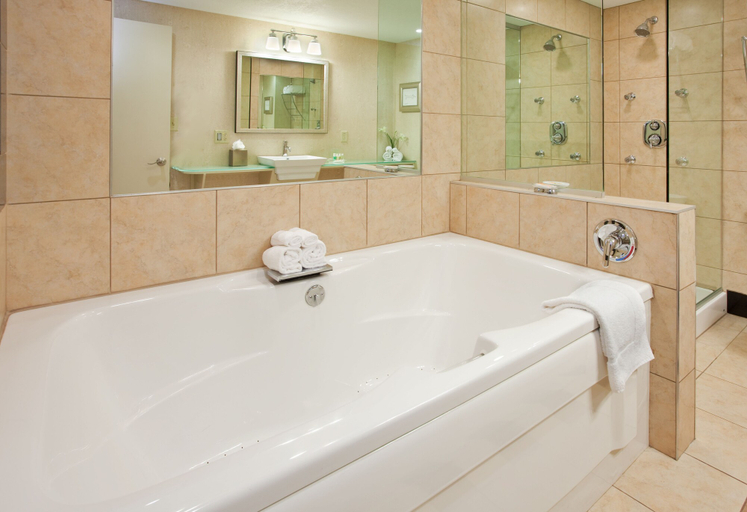 Bathroom 2, Holiday Inn MANHATTAN AT THE CAMPUS by IHG, Riley