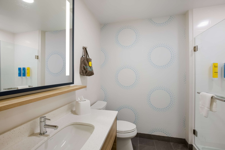 Bathroom 4, Tru By Hilton Traverse City, Grand Traverse