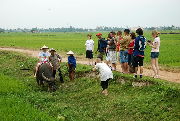 Others 5, Tra Que Green Villa Hoi An, Da Nang