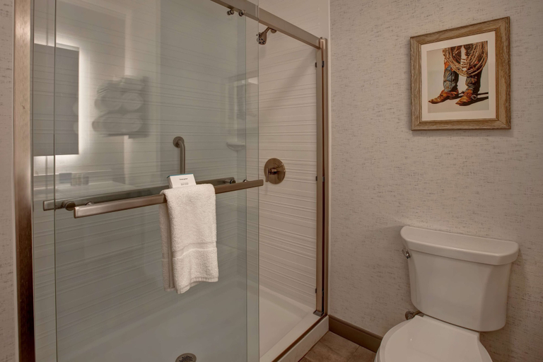 Bathroom 4, Hampton Inn & Suites by Hilton San Antonio Riverwalk, Bexar
