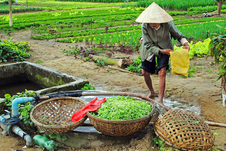 Others 4, Tra Que Green Villa Hoi An, Da Nang