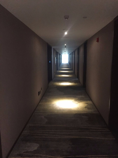 Others 3, Shennongjia Jinghe Hotel, Shennongjia