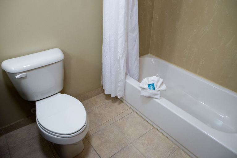 Bathroom 4, Holiday Inn Express Hotel & Suites Albert Lea - I-35 by IHG, Freeborn
