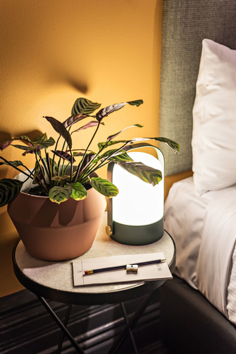 Bedroom 20