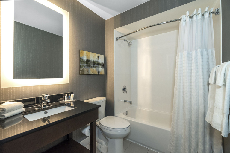 Bathroom 4, Comfort Inn Kanata Ottawa West, Ottawa