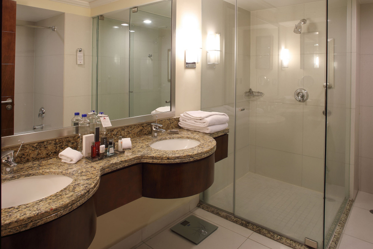 Bathroom 4, Aguascalientes Marriott Hotel, Aguascalientes