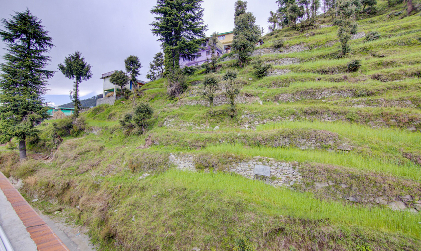 Others 5, Treebo Down Town, Dalhousie, Chamba