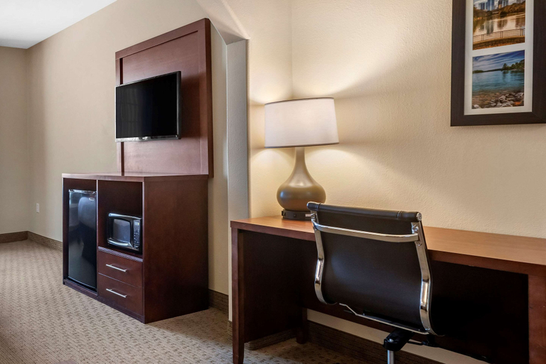 Others 5, Comfort Inn & Suites Villa Rica, Carroll