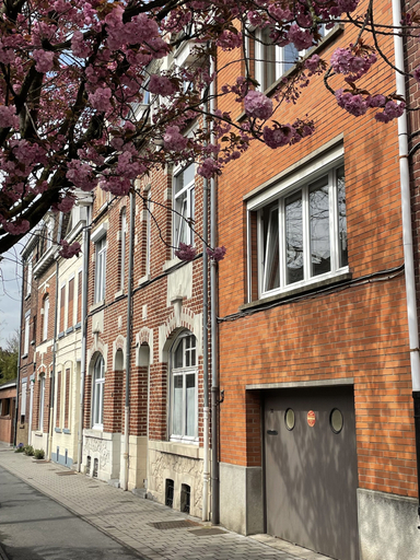 Exterior & Views 2, Belle maison avec grand jardin et garage, Nord