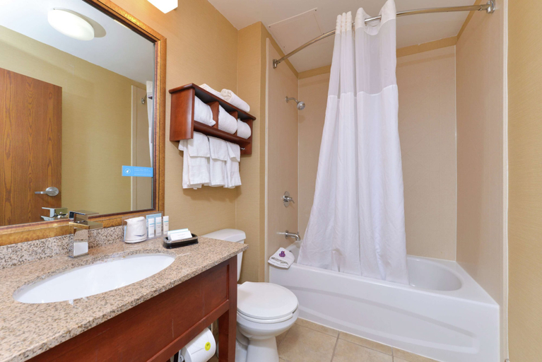 Bathroom 4, Hampton Inn Columbus-East, Fairfield