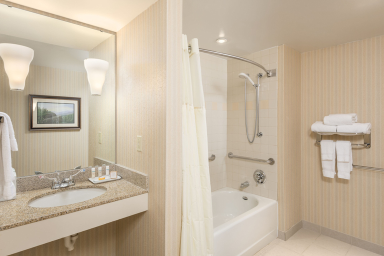 Bathroom 3, The Inn at Virginia Tech and Skelton Conference Center, Montgomery